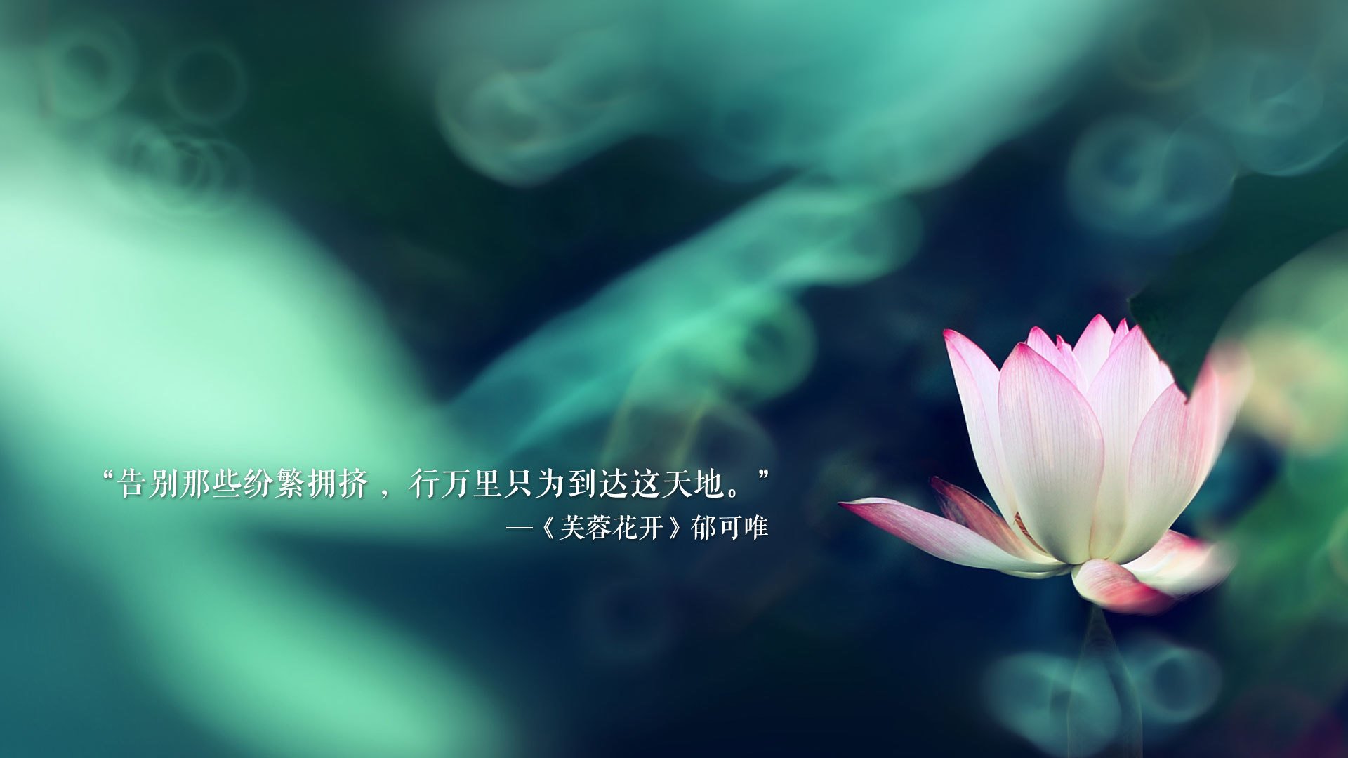 九游娱乐中心-_城市探险赛：穿越历史的跑者之旅_，城市探险的现状