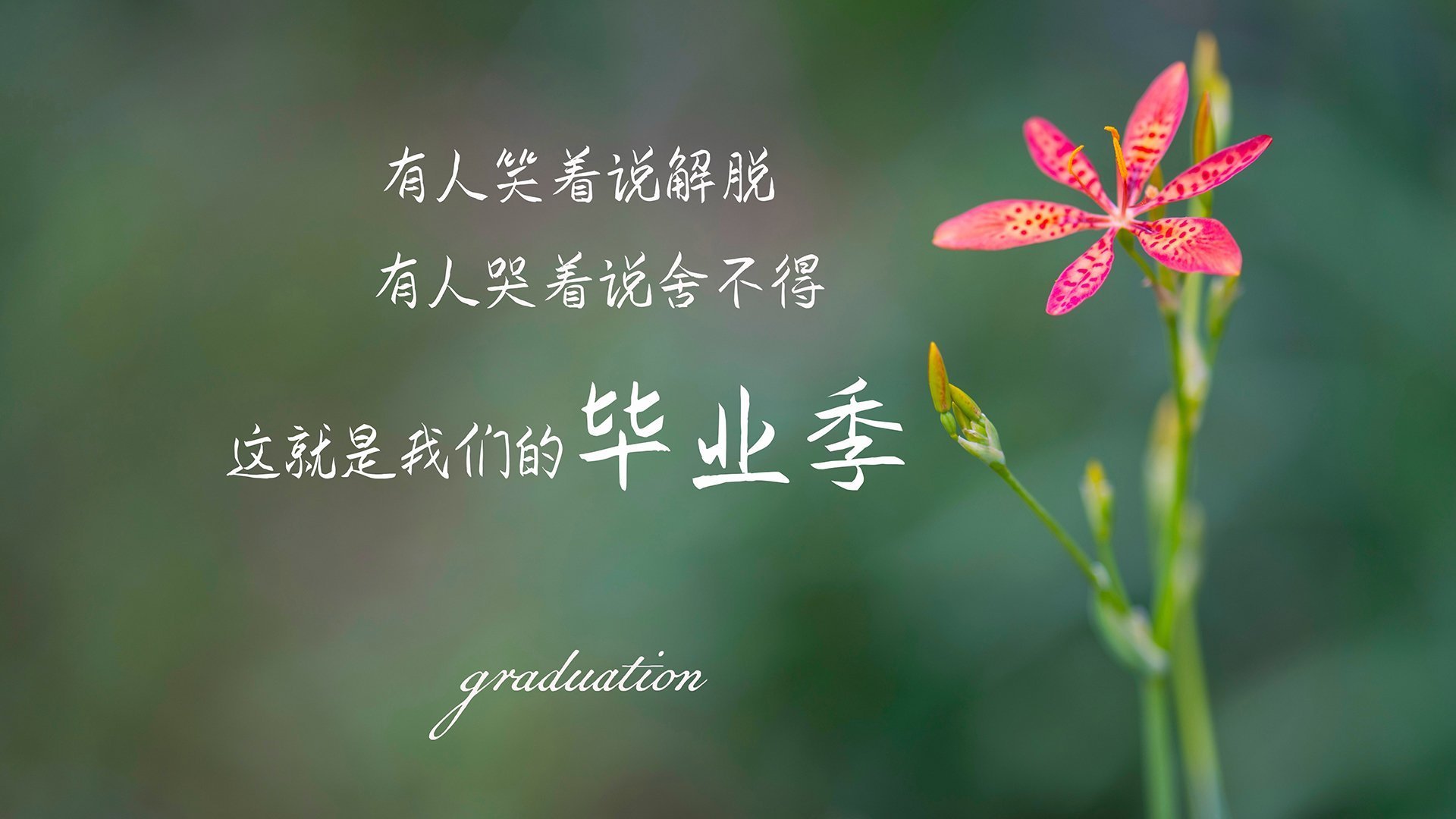 _奇才队士气高涨，期待突破_，奇才队的比赛