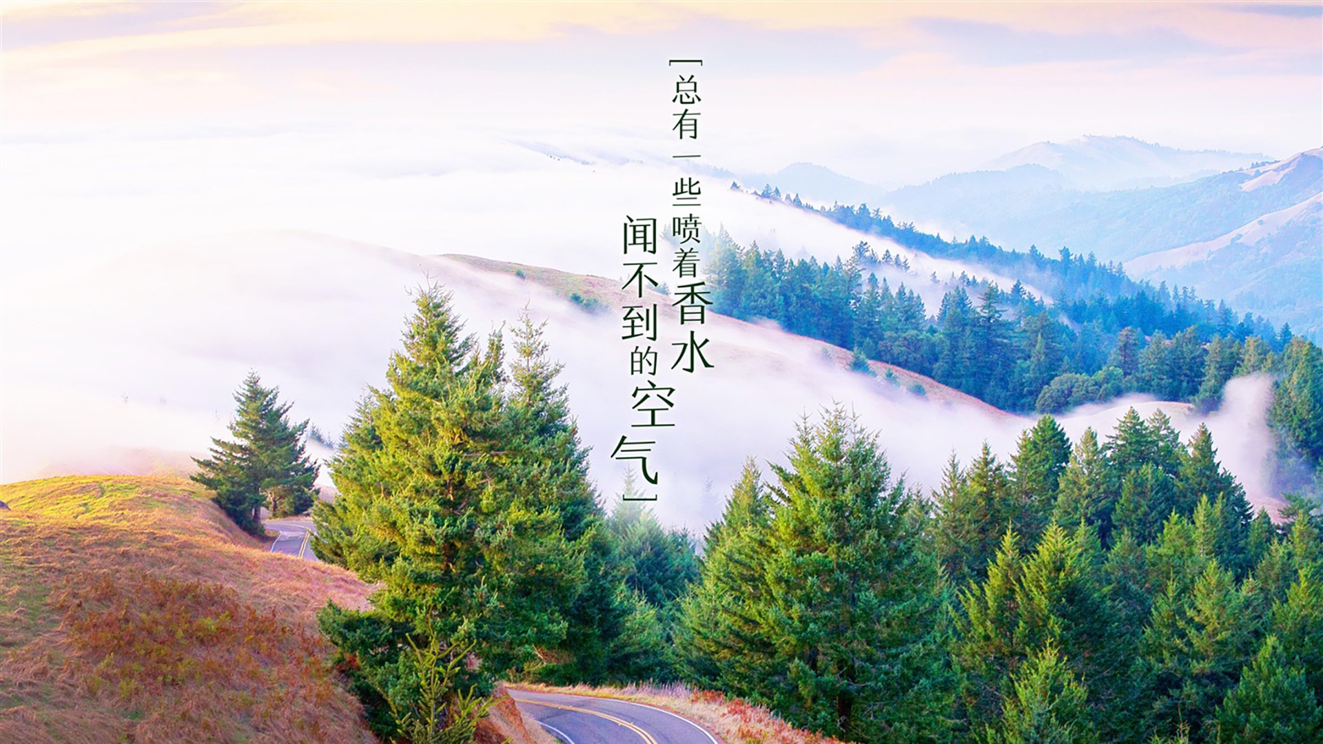 九游登录中心-纽卡斯尔1-0阿森纳，终结枪手不败纪录，纽卡斯尔vs阿森纳直播