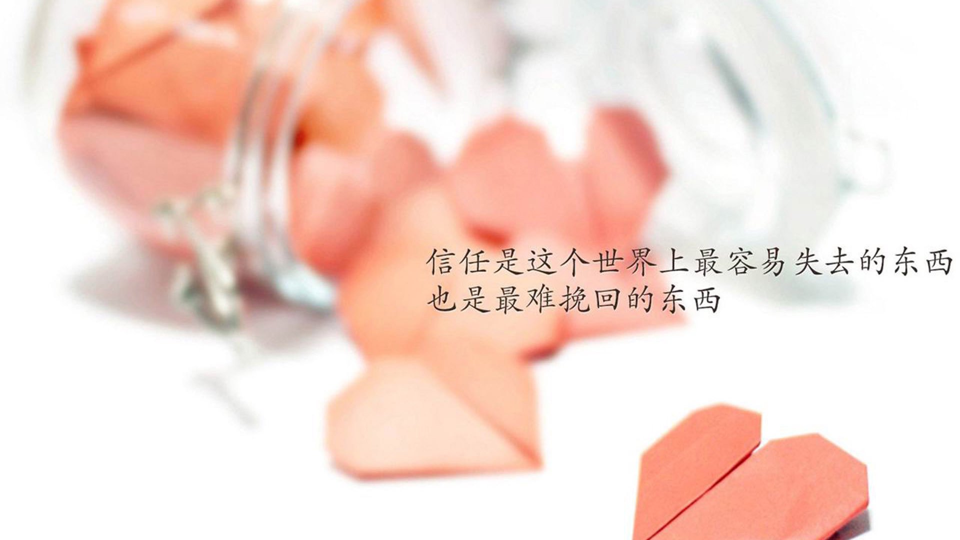 中国篮球职业联赛俱乐部财务管理风险控制，篮球俱乐部管理层组织架构