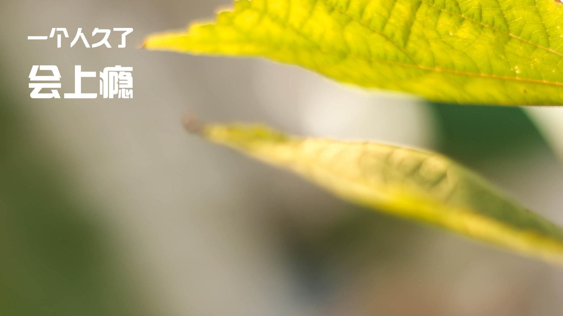 中国足球各位置平均贡献率评估，中国足球收入排行榜2019