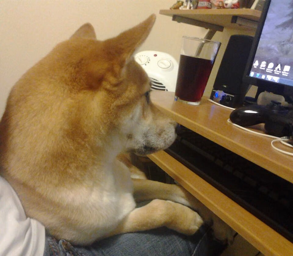 法甲VAR系统语义处理模块提升判罚透明度