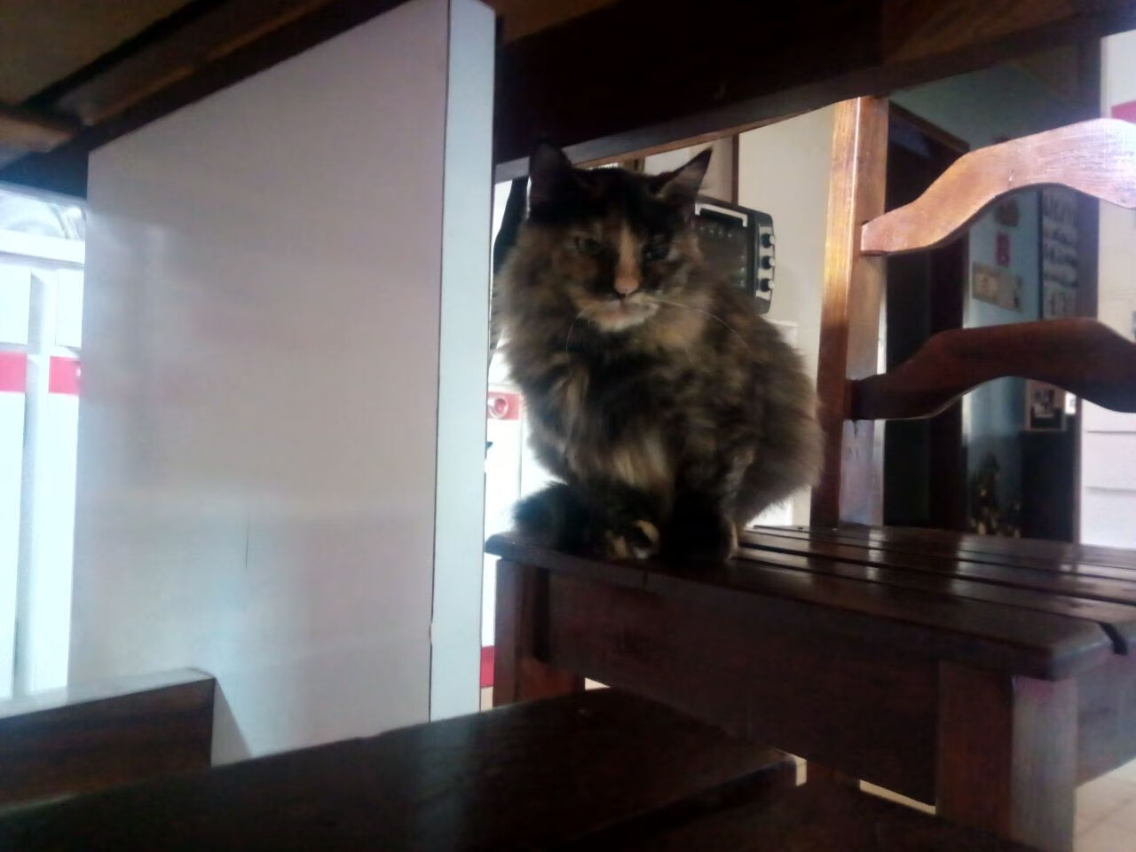 CBA联赛推动篮球运动普及，cba联赛推动篮球运动普及了吗