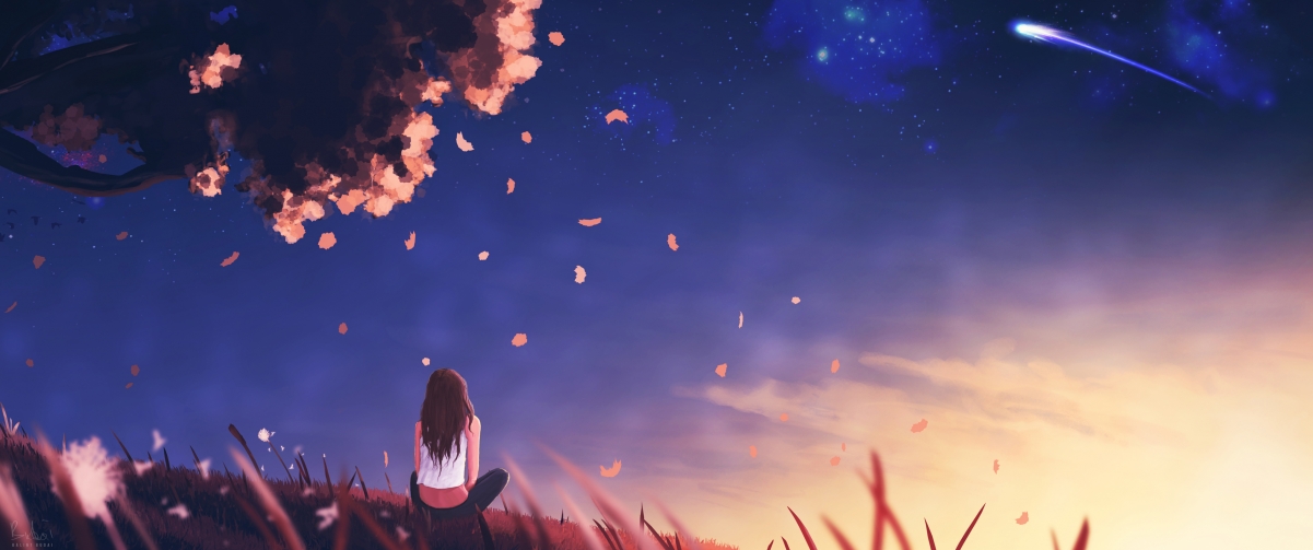 体育社会组织能力建设大会成功举办，体育社会组织发展历程