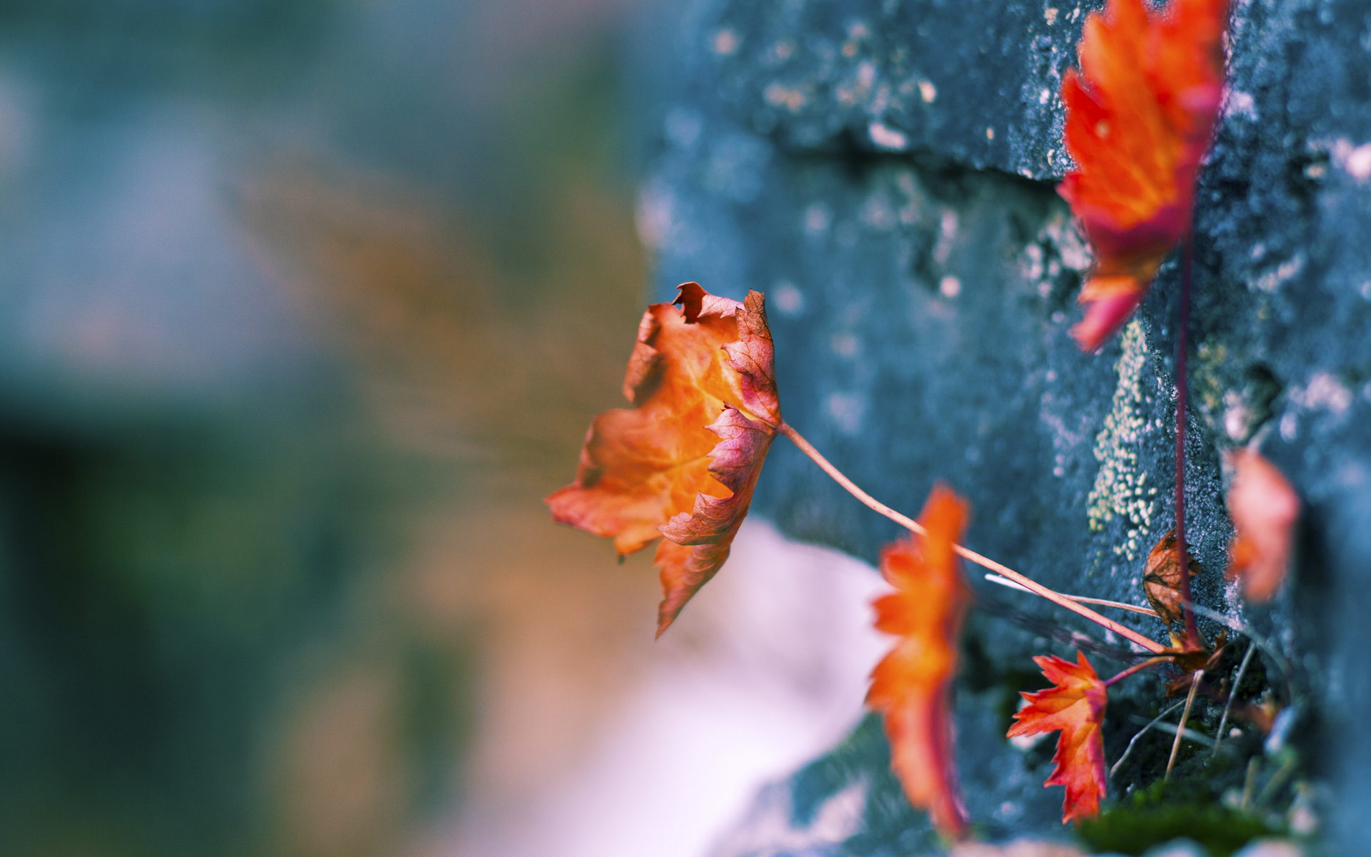 整场比赛节奏把控最成功的球队，全场节奏