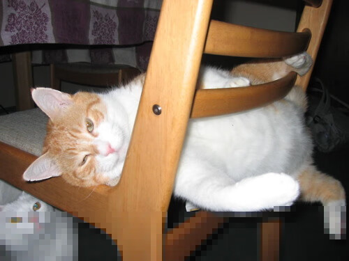 王者荣耀社区创作者计划扶持新人登场，微视王者荣耀创作者招募规则