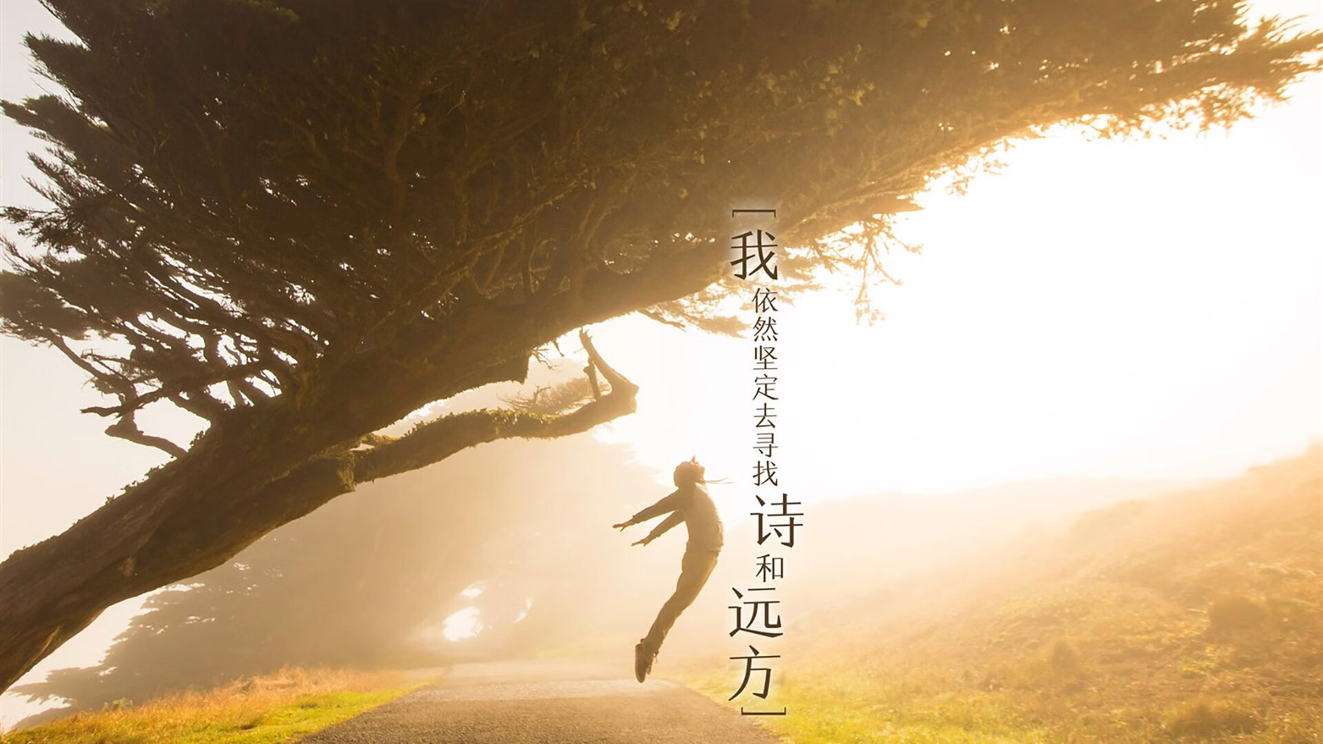 九游正版入口-中国足球联赛引入VAR技术提升比赛公正，足球var技术全称