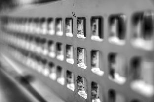 九游官方下载-高校运动训练科学管理模式创新实践，运动训练科研管理工作要求