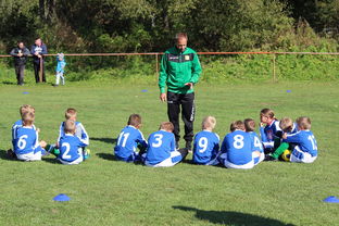 九游网页版官网-国家队战术决策效率如何提升，国家队战术决策效率如何提升的