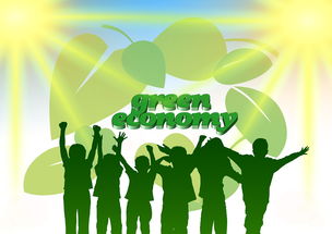 九游电脑版-青年选手成长路径日益明确，青年成长成才计划